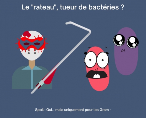 rateau utilisé en microbiologie est un tueur de bactéries et principalement de gram négatifs