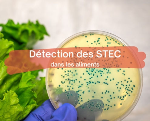 detection des STEC dans la matrices agroalimentaires