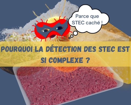 Pourquoi la detection des STEC est si complexe ?