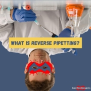 What are the benefits of the reverse pipetting method in microbiology