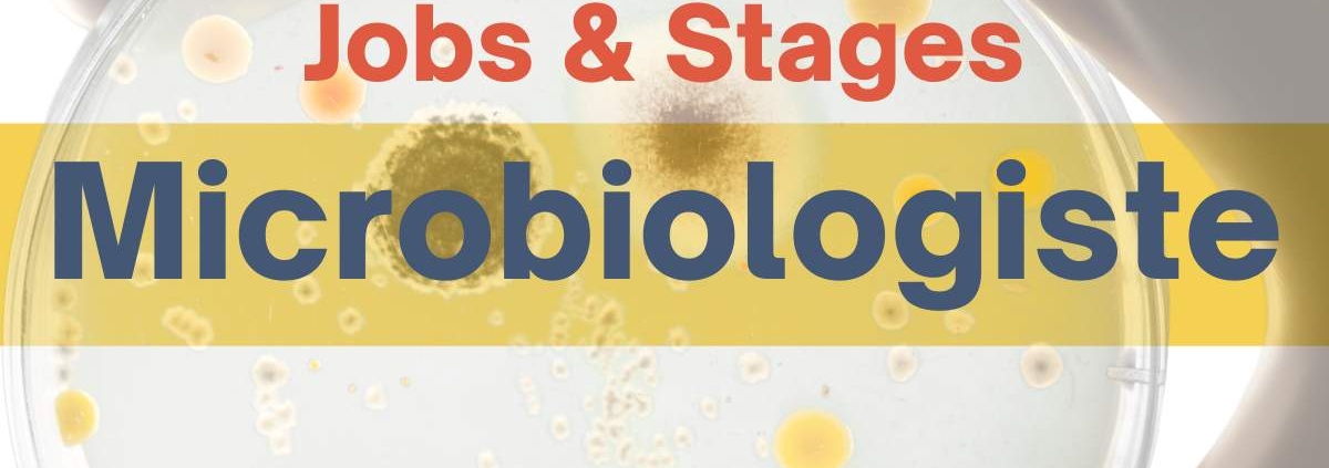trouver un emploi ou un stage dans un laboratoire de microbiologie