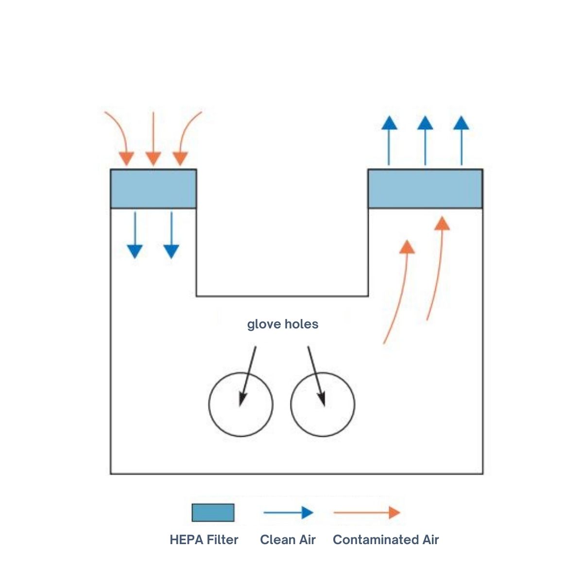 What is a BSC – Biological Safety Cabinet? - SuperMicrobiologists