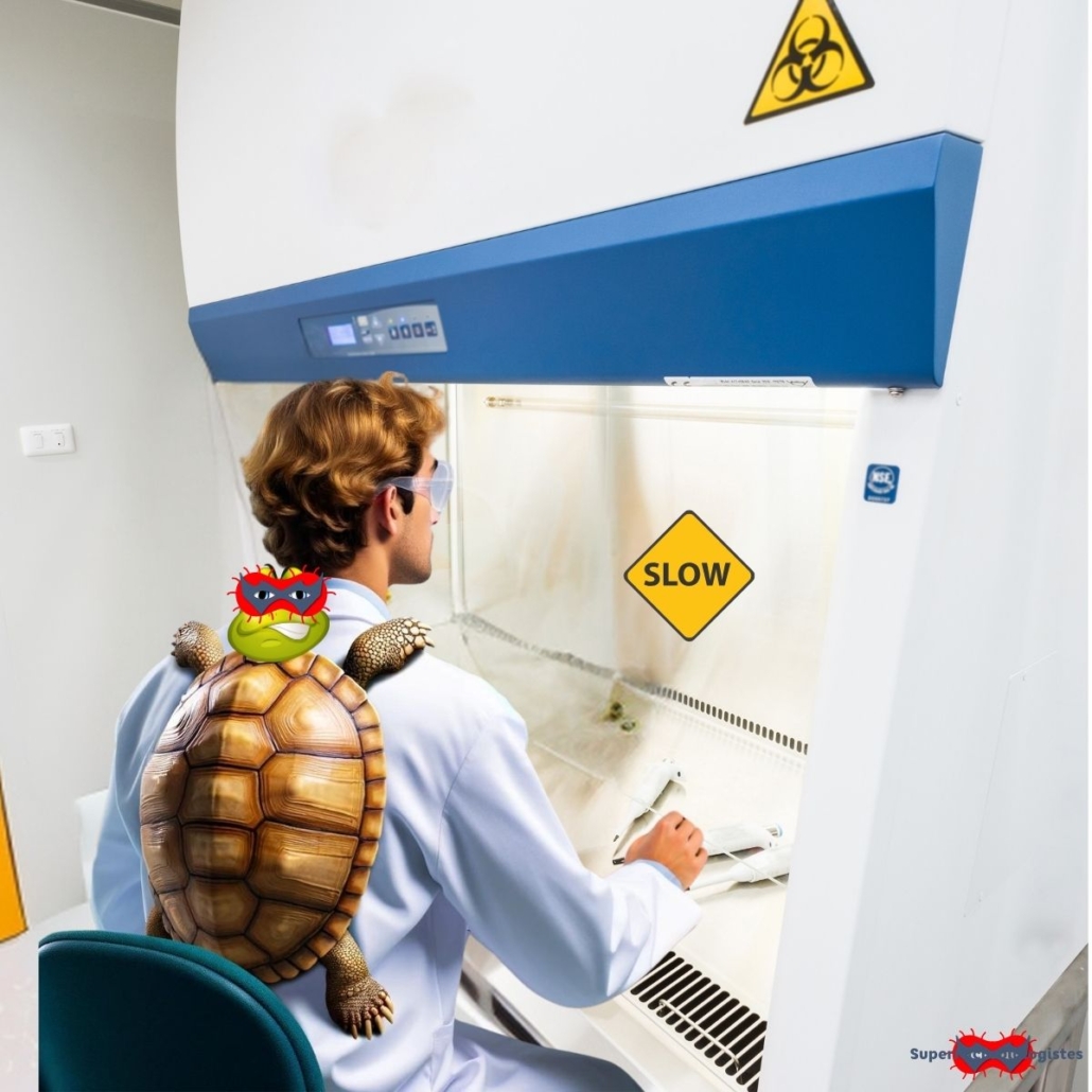 un microbiologiste qui manipule dans un PSM (Poste de Sécurité Microbiologique) avec une carapace de tortue sur le dos. Dans un PSM on doit manipuler lentement