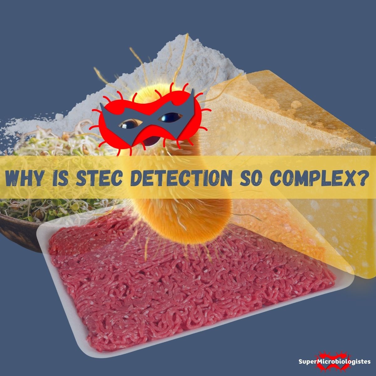 Why is STEC detection in food sample so complicated? - SuperMicrobiologists