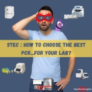 how to choose the best PCR method to detec STEC e.coli producing shigatoxins