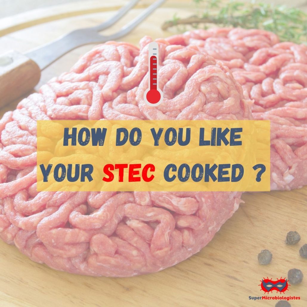 How do you like your STEC cooked