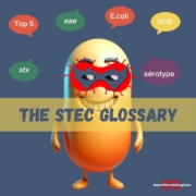 STEC glossary (E.coli producing Shigatoxines). To understand all the accronyms related to STEC