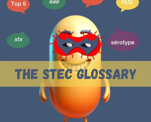 STEC glossary (E.coli producing Shigatoxines). To understand all the accronyms related to STEC