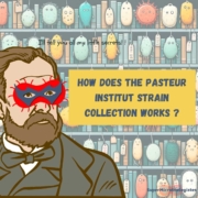 How does the Pasteur Institut strain collection works ?