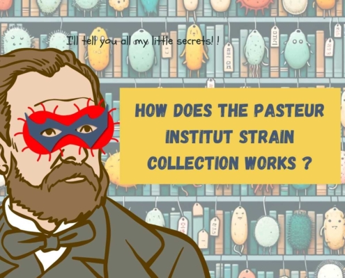 How does the Pasteur Institut strain collection works ?