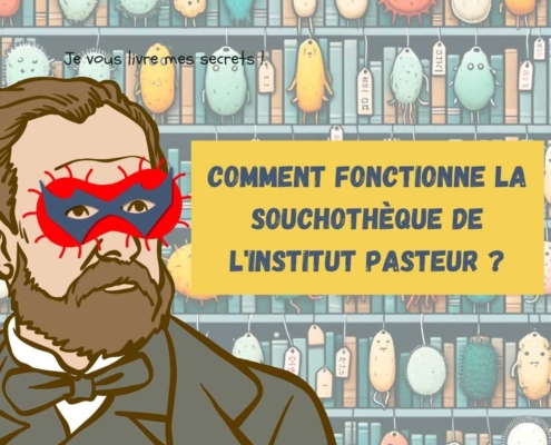 Comment fonctionne la souchothèque de bacterie de l'institut Pasteur : la CIP ?