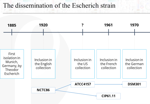 Histoire de la souche d'Escherichia coli découverte par Escherch en 1885, puis son partage entre les différentes souchothèques du monde