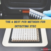 The best real time PCR method for the detection of STEC in food sample.