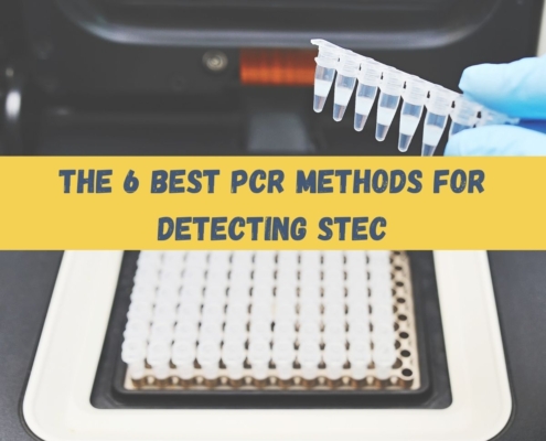 The best real time PCR method for the detection of STEC in food sample.