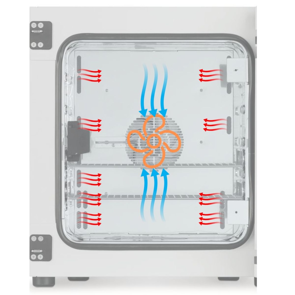 Fonctionnement d'un incubateur microbiologique à convection forcée