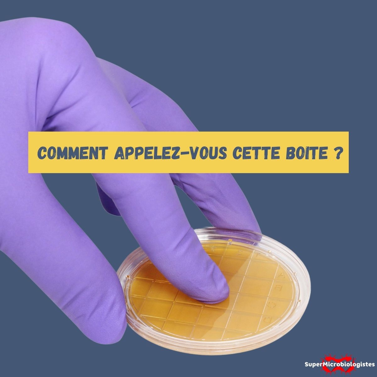 Comment appelez-vous une boite contact ? Rodac, boite 55mm ou autre