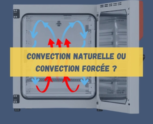 Quelle est la différence entre un incubateur à convection naturelle et à convection forcée