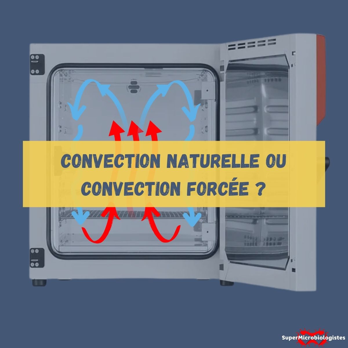 Quelle est la différence entre un incubateur à convection naturelle et à convection forcée