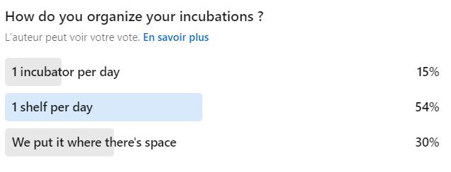 How do you organize your incubations in the microbiology lab