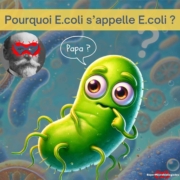 histoire du nom de la bactérie E.coli