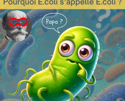 histoire du nom de la bactérie E.coli