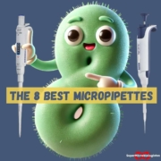 Guide to the 8 Best Micropipettes for Microbiology Laboratories