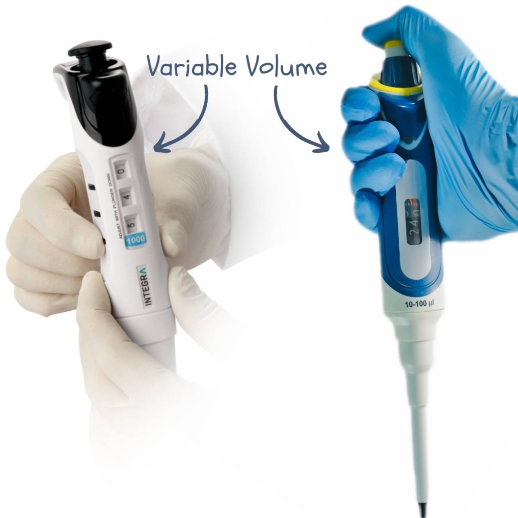 example of 2 variable volume micropipettes used in a microbiology lab