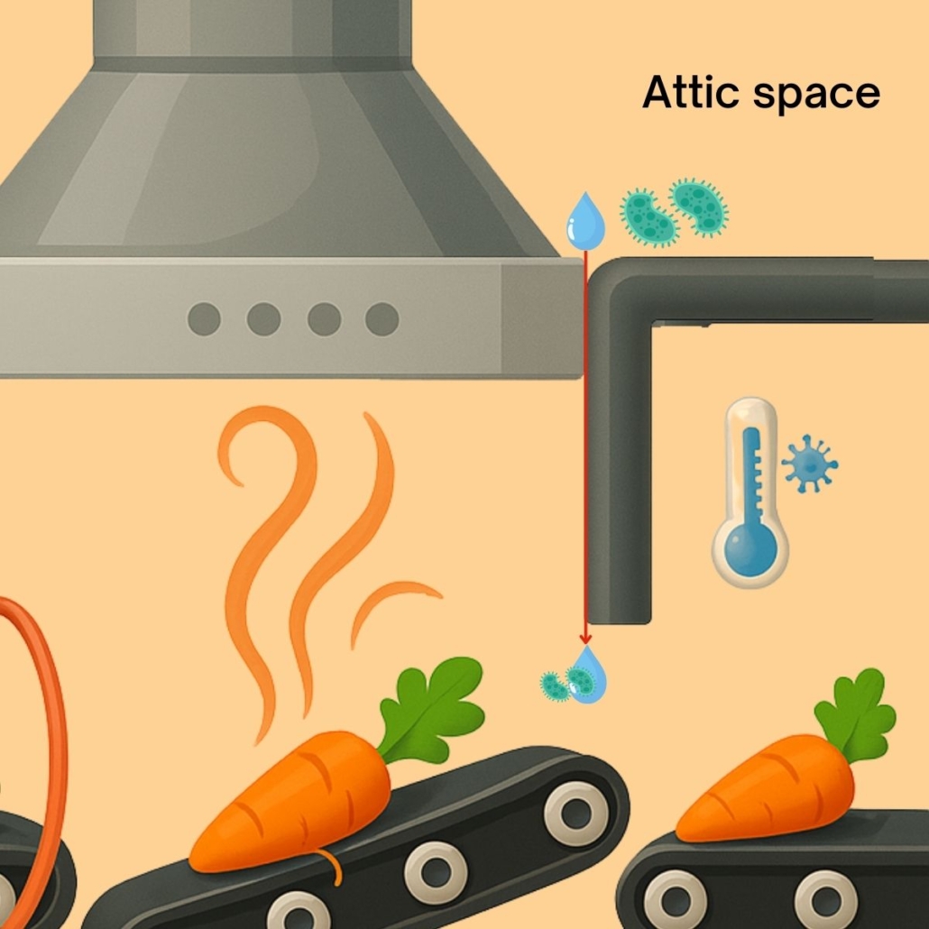 Salmonella contamination comes from the false ceiling just above the production area